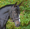 Black Oak Cyprus Hunter Bridle & Reins