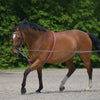 Waldhausen - Lunging Aid - Quail Hollow Tack