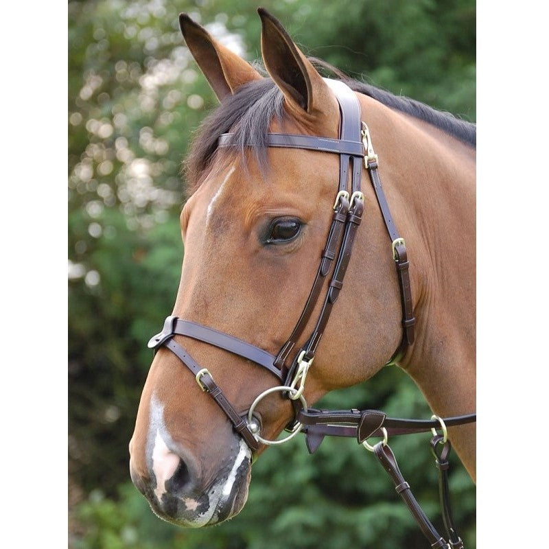 Dy'on - Flat Flash Bridle with Snaps - Quail Hollow Tack