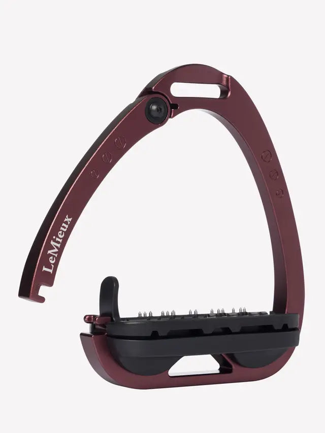 Vector Balance Stirrup Iron
