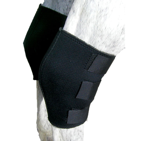 Intrepid International - Air Lite Hock Boot - Quail Hollow Tack