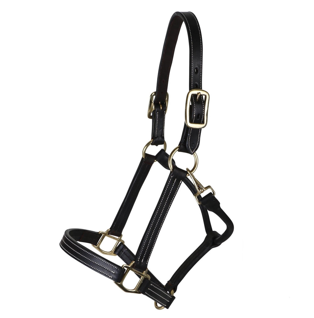 Billy Royal - Keeneland Leather Halter - Quail Hollow Tack