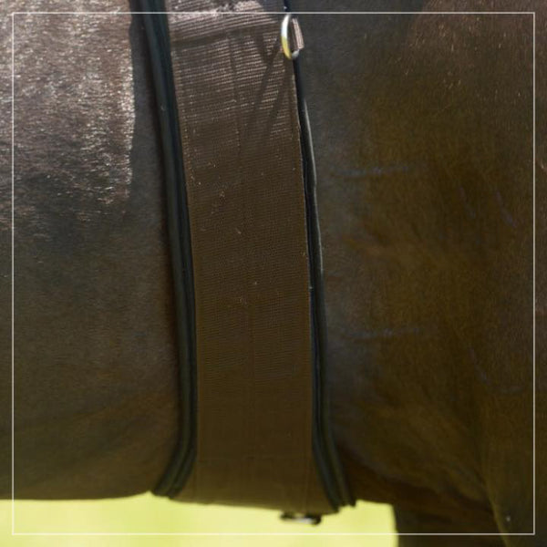 EquiFit - Essential Girth - Quail Hollow Tack