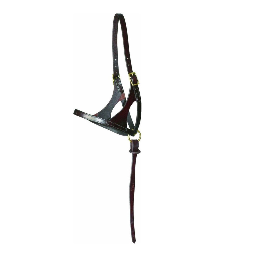 Walsh - Grow With Me Foal Halter - Quail Hollow Tack