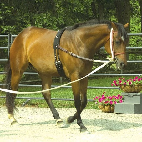 Perri's Leather - Synthetic Training Surcingle - Quail Hollow Tack