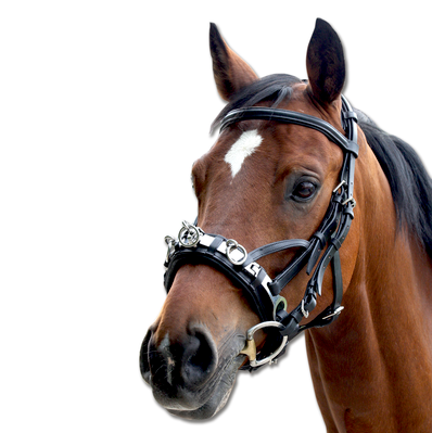Waldhausen - Leather Lunging Cavesson - Quail Hollow Tack