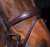 Dy'on - Anatomic Flash Noseband Bridle - New English Collection - Quail Hollow Tack