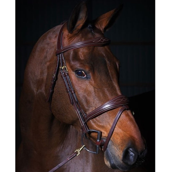 Dy'on - Anatomic Flash Noseband Bridle - New English Collection - Quail Hollow Tack