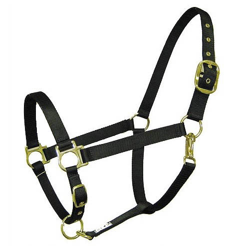 Ronmar - Nylon Halter with Snap - Quail Hollow Tack