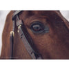Dy'on - Focus Cheek Pieces - Quail Hollow Tack