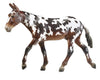 Buckeye Mule