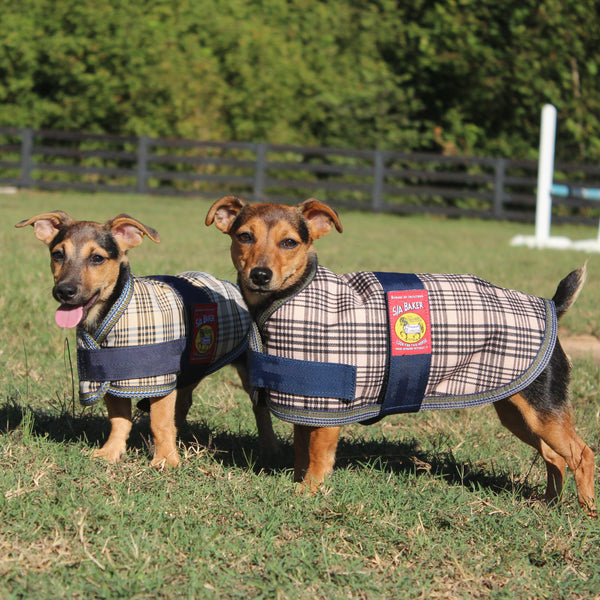 Curvon - Baker Dog Blanket - Quail Hollow Tack