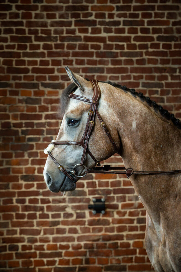 Figure 8 Noseband Bridle