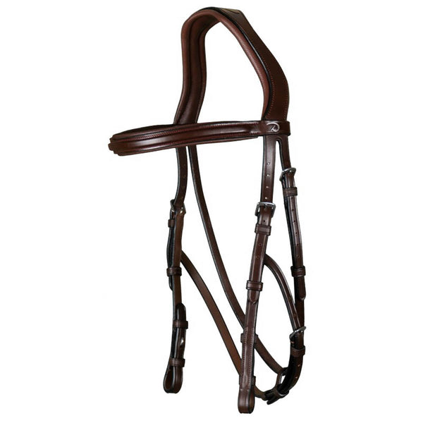 Hackamore Bridle