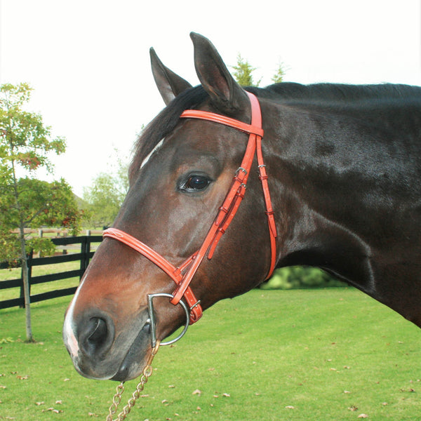 Edgewood - Hunter Bridle - Quail Hollow Tack