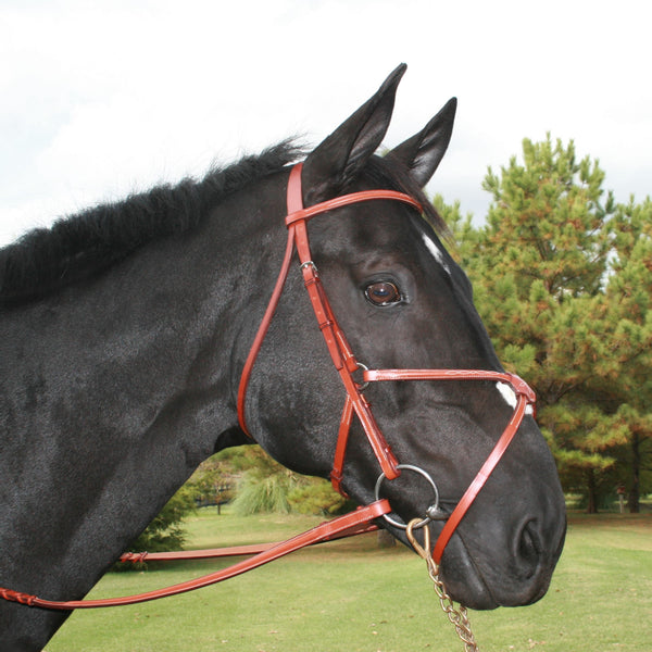 Edgewood - Figure 8 Bridle - Quail Hollow Tack