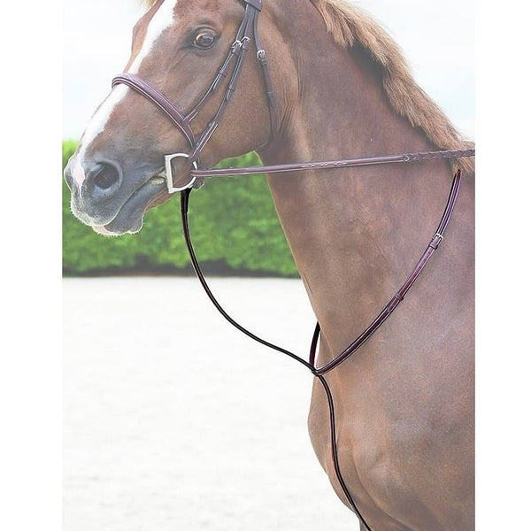 Dy'on - Standing Martingale - Quail Hollow Tack