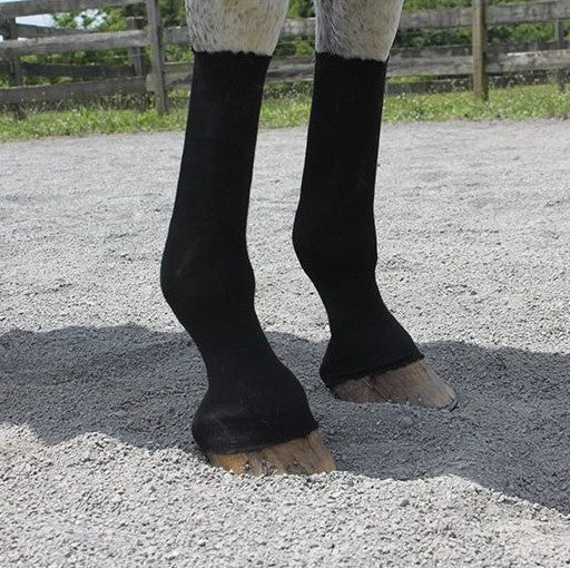 Equifit - HorseSox - Quail Hollow Tack