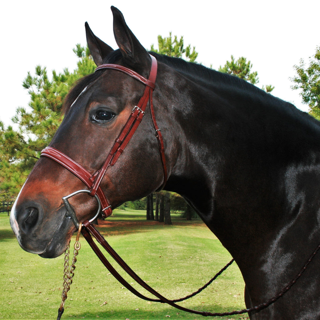 Quail Hollow Tack - EJ Fancy Raised Bridle - Quail Hollow Tack