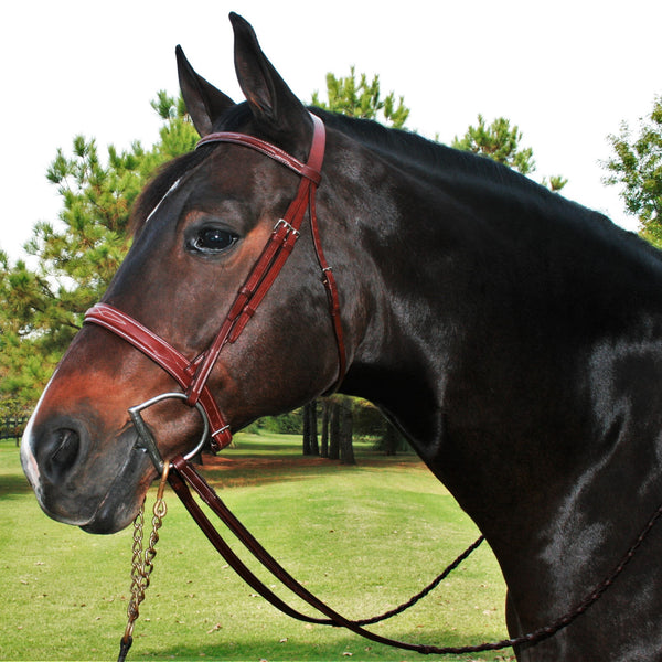 Quail Hollow Tack - EJ Fancy Raised Bridle - Quail Hollow Tack