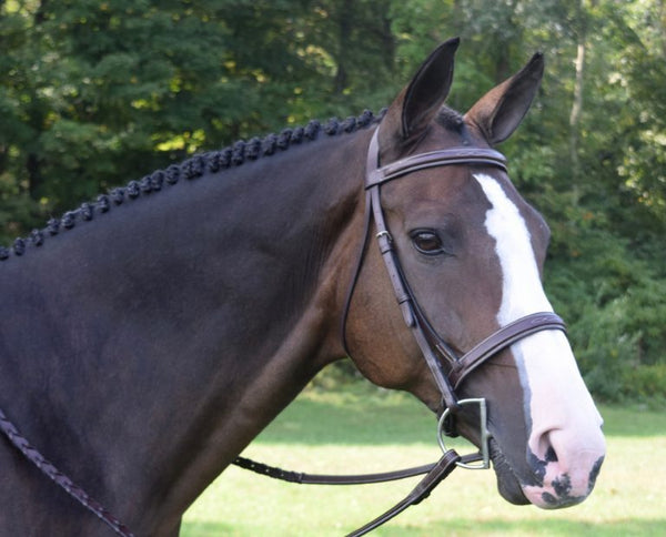 Black Oak Spruce Hunter Bridle & Reins