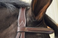 Black Oak Cyprus Hunter Bridle & Reins