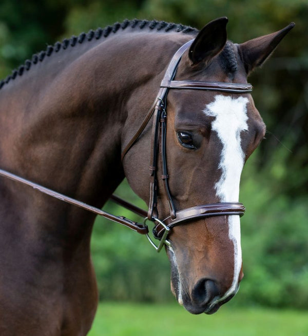 Tuscany Hunter Bridle & Reins