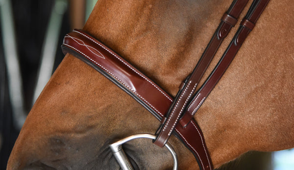 Tuscany Hunter Bridle & Reins