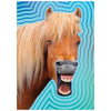 Design Design - Laughing Horse - Quail Hollow Tack