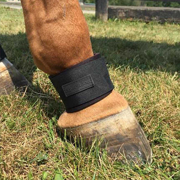 Equifit - Pastern Wrap - Quail Hollow Tack