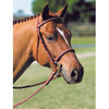 Pessoa - Padded Pony Bridle with Reins - Quail Hollow Tack