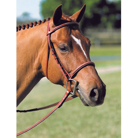 Pessoa - Padded Pony Bridle with Reins - Quail Hollow Tack