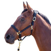 Topaz Padded Breakaway Halter