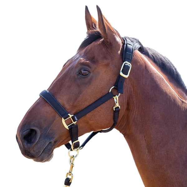 Topaz Padded Breakaway Halter