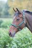 Topaz Padded Breakaway Halter