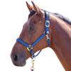 Topaz Padded Breakaway Halter