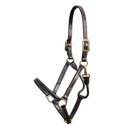 Walsh - Showman Halter - Quail Hollow Tack