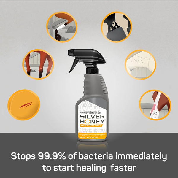 Silver Honey Rapid Wound Repair Spray Gel