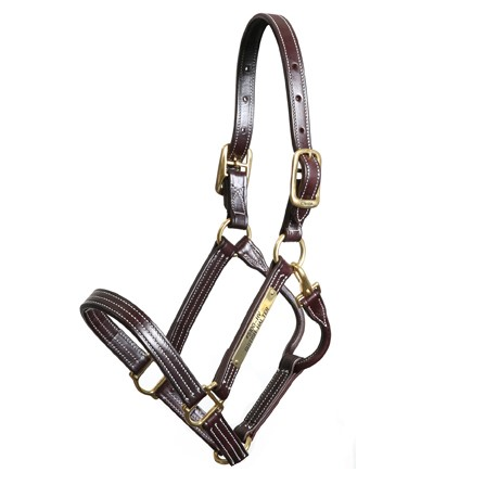 Walsh - British Halter - Quail Hollow Tack