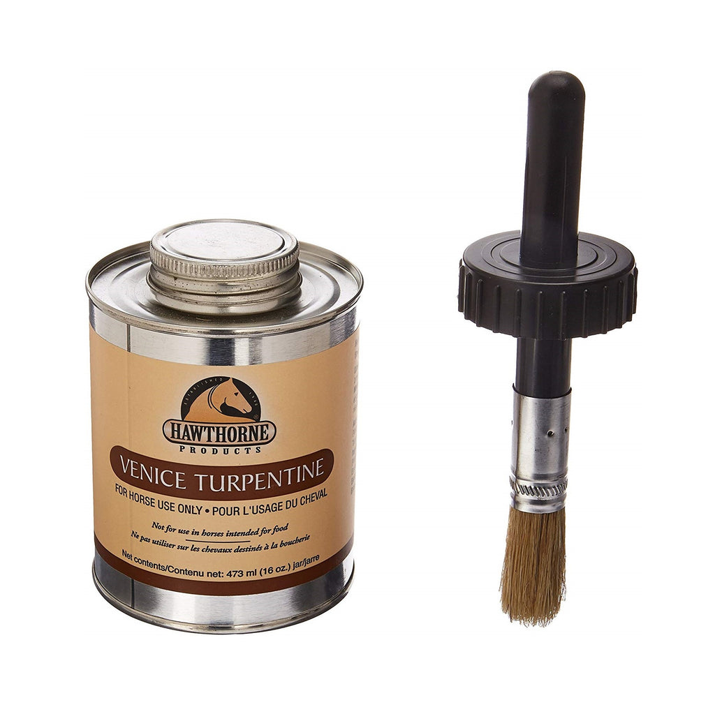 Hawthorne - Venice Turpentine - Quail Hollow Tack