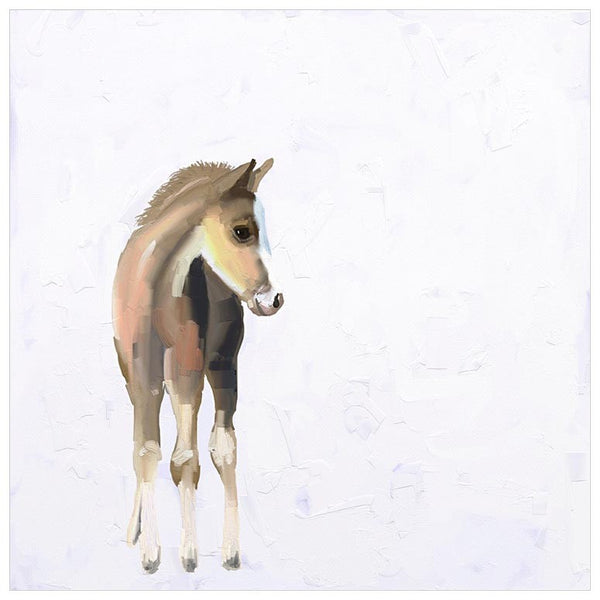 GreenBox Art - Baby Horse - Canvas - Quail Hollow Tack