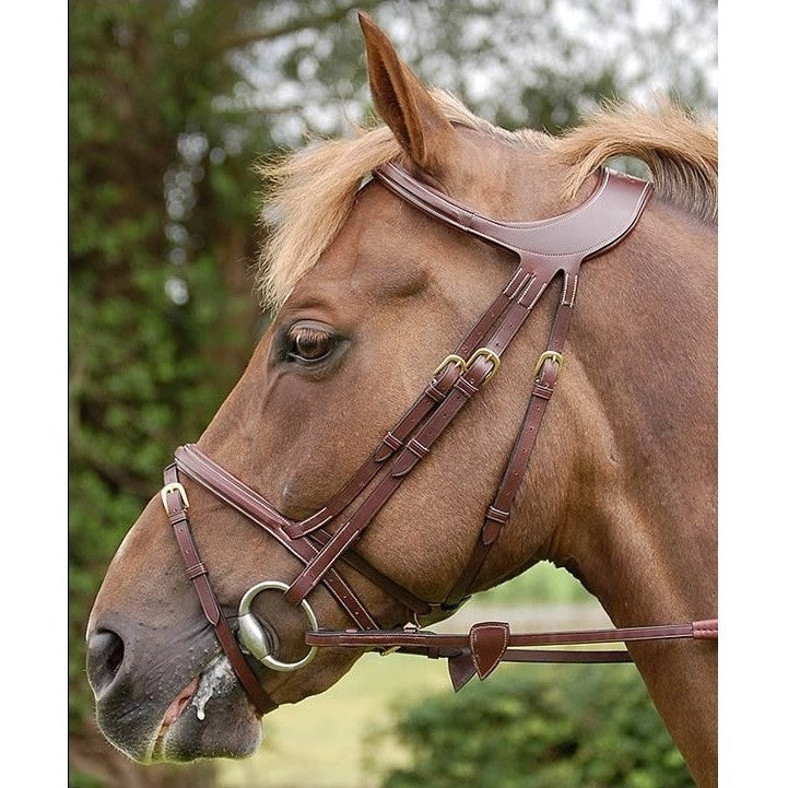 Dy'on - Difference Flash Noseband Bridle - Quail Hollow Tack