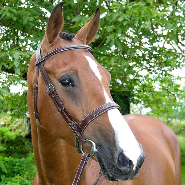 Dy'on - Wide Nose Hunter Bridle - Quail Hollow Tack