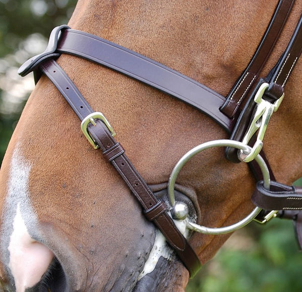 Dy'on - Flat Flash Bridle with Snaps - Quail Hollow Tack