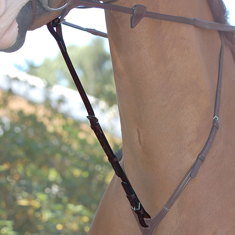 Dy'on - Standing Martingale Attachment - Quail Hollow Tack