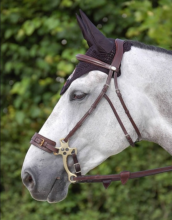 Hackamore Bridle