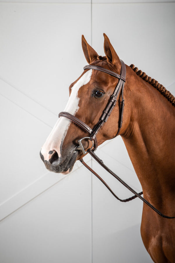 Cavesson Noseband Bridle