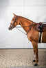 Cavesson Noseband Bridle