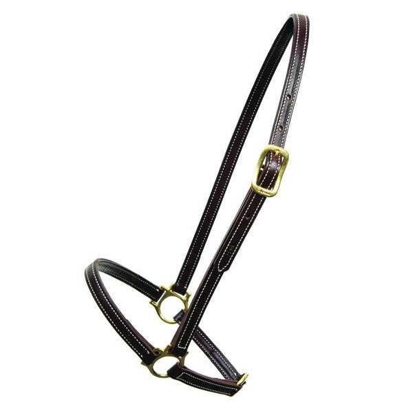 Walsh - Grooming Halter - Quail Hollow Tack