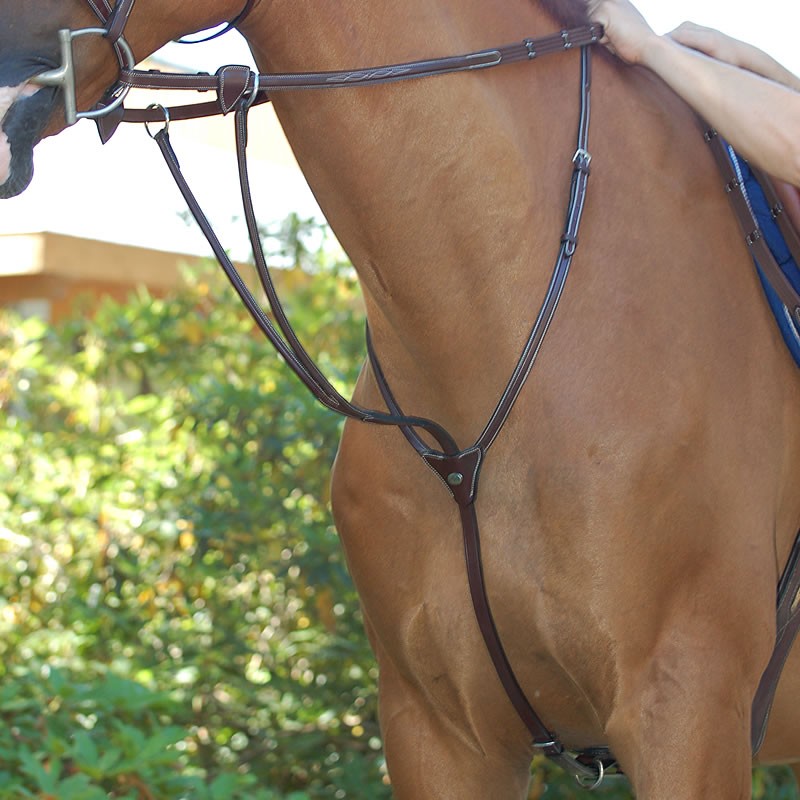 Dy'on - Running Martingale - Quail Hollow Tack